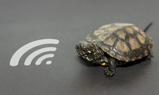 Wi-Fi の速度を上げるには？ スマホで計測する方法や、快適な通信速度の目安を解説