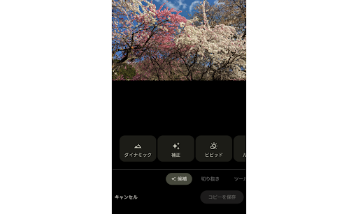 画像加工初心者なら Google フォトの「候補」機能を活用しよう