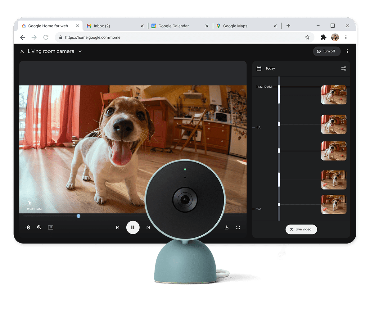 Nest Cam showing live footage of dog at home