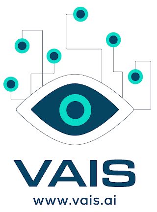 Visual and AI Solutions (VAIS) Logo