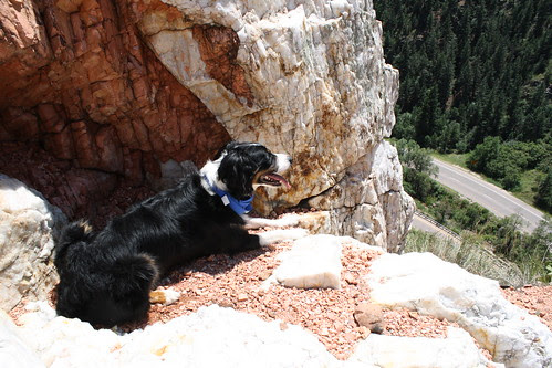 Resting in the shade of a rock